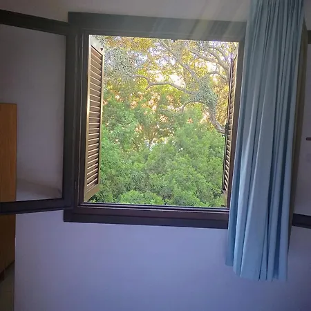 Gardens *